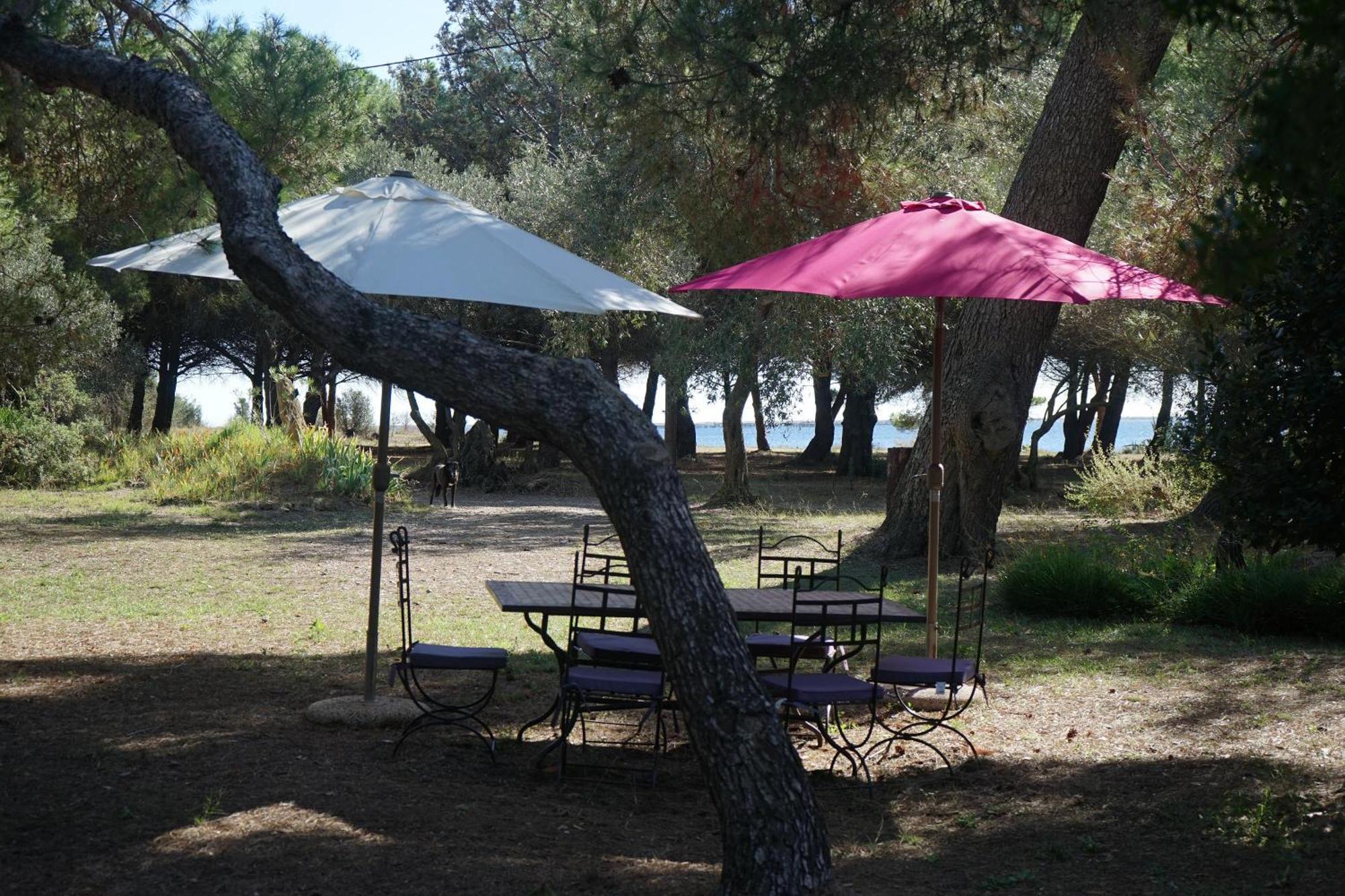 Joli Mas Au Bord De L'Etang De Thau Villa Marseillan  Luaran gambar