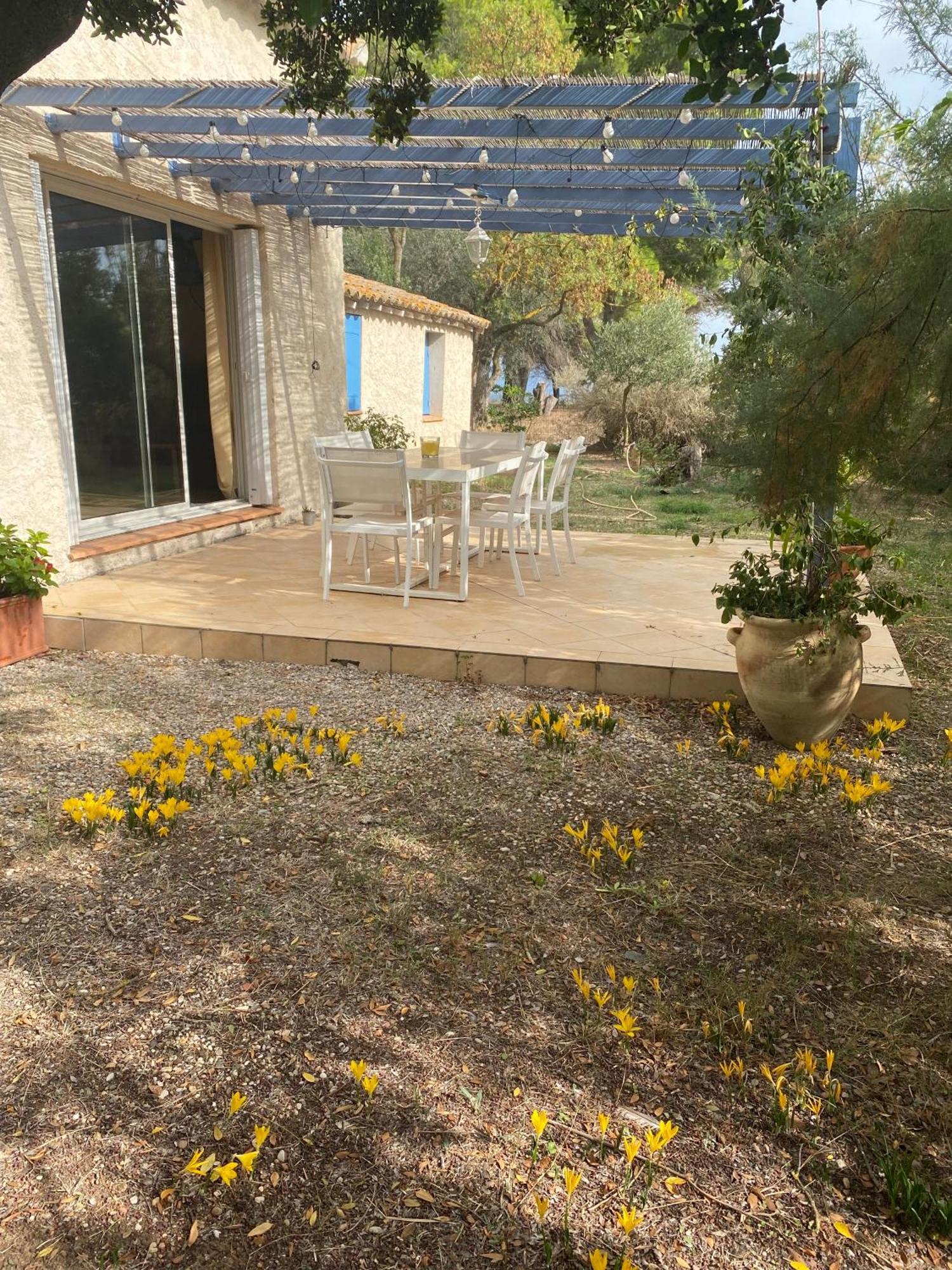 Joli Mas Au Bord De L'Etang De Thau Villa Marseillan  Luaran gambar
